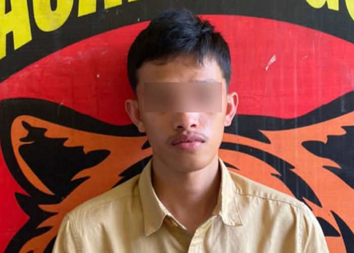Anggota PSHT Dikeroyok Hingga Tulang Hidung Patah di Lubuk Linggau, 1 Pelaku Dibekuk di Jaksel
