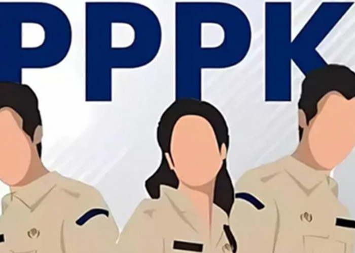 PPPK 2024 Tahap 1 Kemenag, Ribuan Peserta Lulus Seleksi, Ini Link Pengumuman dan Tahapan Selanjutnya