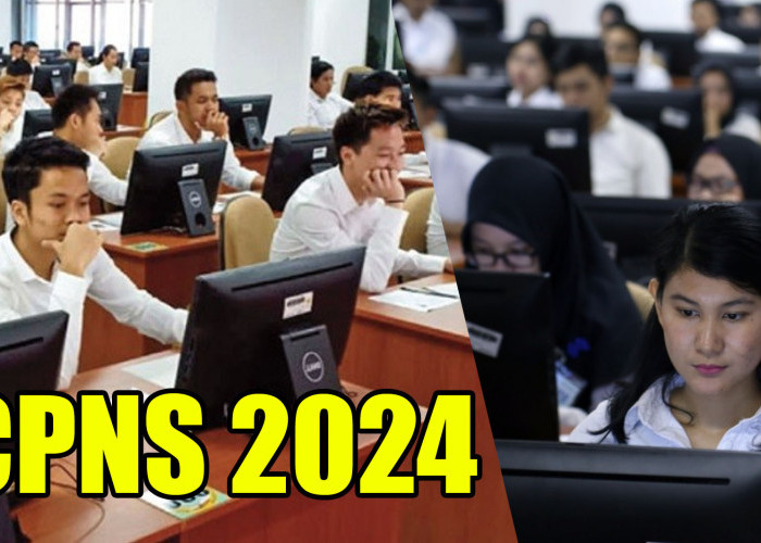 Besok Seleksi CPNS 2024 Dibuka, Berikut Daftar Formasi yang Sepi Peminat