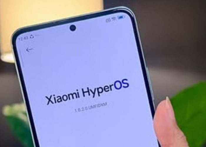 Terlihat Mewah! Begini Cara Ganti Tema HP Xiaomi HyperOS jadi Mirip iPhone, Buruan Coba