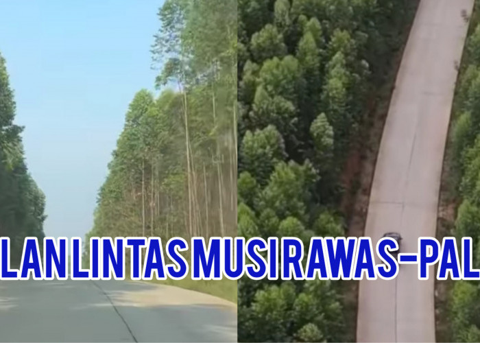 Jalan Lintas Baru, Lubuk Linggau-PALI Hanya 3 Jam, Pengendara Serasa Lewat Wisata di Lampung