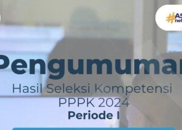 Hasil Seleksi PPPK 2024, Berikut Daftar Instansi yang Sudah Umumkan Kelulusan Pelamar 