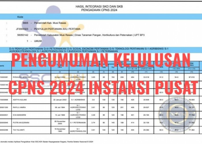 CPNS 2024, Daftar 32 Instansi Pusat yang Sudah Umumkan Kelulusan, Berikut Linknya