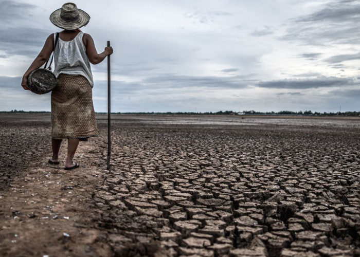 Waspada El Nino Godzilla, Potensi Sebabkan Kekeringan dan Karhutla di Sumatera Selatan