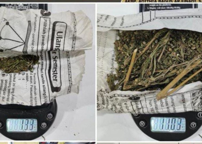 ‎Edar Ganja Saat Ramadan, 1 Tersangka Diringkus Satres Narkoba Polres Lubuk Linggau