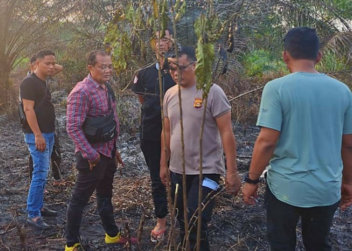 Tragis, Kakek di Muratara Tewas Dikepung Api, Saat Bakar Lahan Sendiri, Ini Kronologisnya