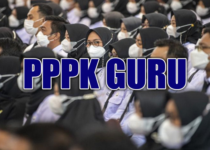 Ketahui Ada 3 Jalur Pendaftaran PPPK Guru 2023, Jalur Mana Anda Bisa Mendaftar, Cek di Sini