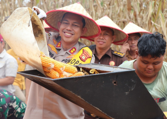 Panen Raya Jagung di Musi Rawas, AKBP Agung Adhitya: Perekonomian Meningkat Mencegah Gangguan Kamtibmas   