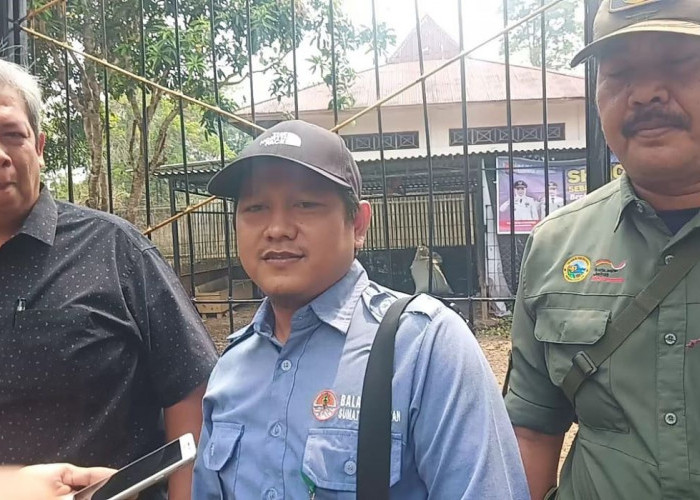 BKSDA Sumatera Selatan: Hewan Buas yang Serang Rusa di Rumah Dinas Bupati Musi Rawas
