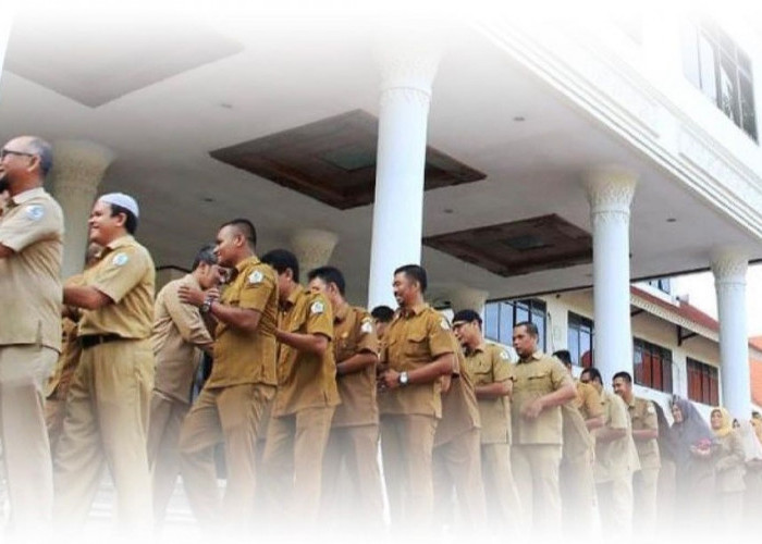 CASN 2024, Kabupaten Batanghari Jambi Buka Ribuan Formasi CPNS dan PPPK, Buruan Cek Rinciannya