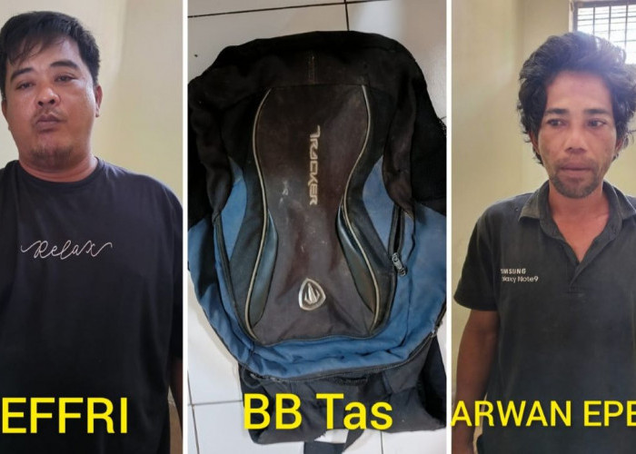 Ini 2 Pencuri 200 Kilogram Alpukat di Marga Mulya Lubuk Linggau, Juga  Embat 75 Bibit Sawit