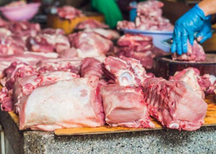 Ikuti Tips Menyimpan Daging Kurban di Kulkas Ini Agar Awet bahkan Dapat Bertahan hingga 12 Bulan