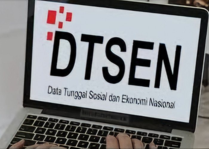 Mau Pemutihan Tunggakan BPJS Kesehatan, Begini Cara Daftar DTSEN 2025