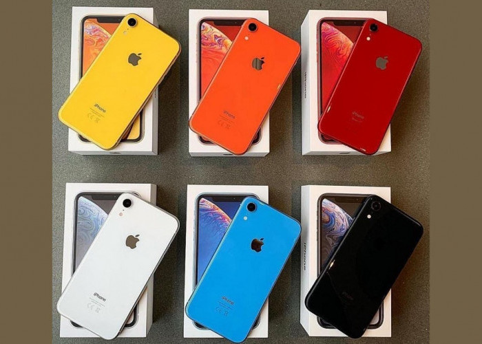 Inilah 4 Pilihan iPhone Bekas Terbaik 2024, Miliki HP Impian dengan Harga yang Lebih Murah