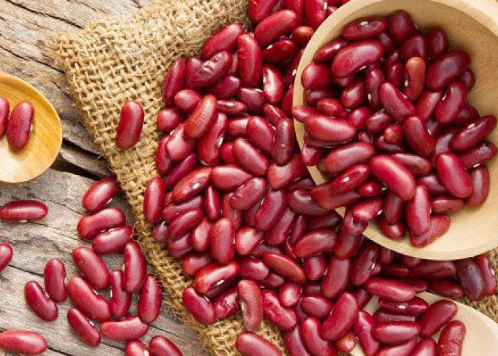 Ini 6 Manfaat Kacang Merah, Salah Satunya Bisa Mengontrol Kadar Gula Darah