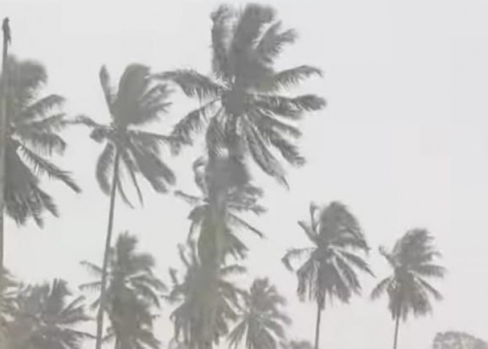 BMKG Rilis Peringatan Dini: Potensi Hujan Badai di Wilayah Berikut Pada 20 Februari 2026