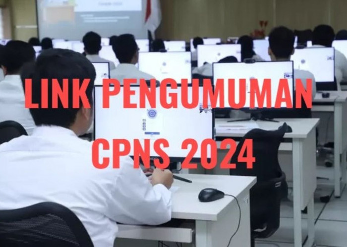 CPNS 2024, Pengumuman Kelulusan Sebentar Lagi, ini Link dan Cara Ceknya