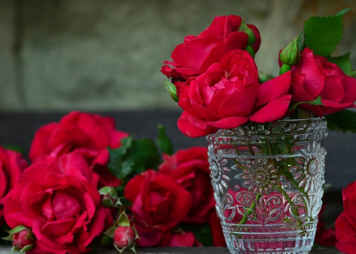 Inilah 14 Jenis Bunga Mawar dan Asalnya, Sering Dijadikan Tanda Sayang dan Cinta 