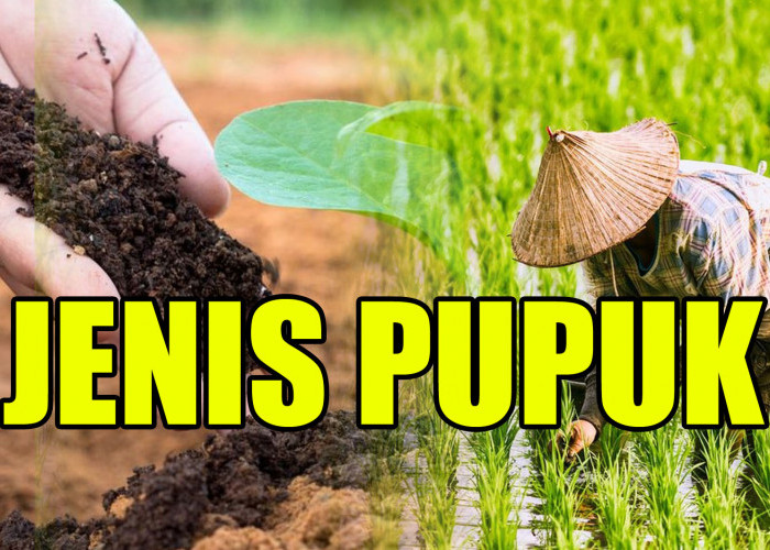 Petani Wajib Tahu, Inilah 11 Jenis Pupuk untuk Tanaman, Cek di Sini