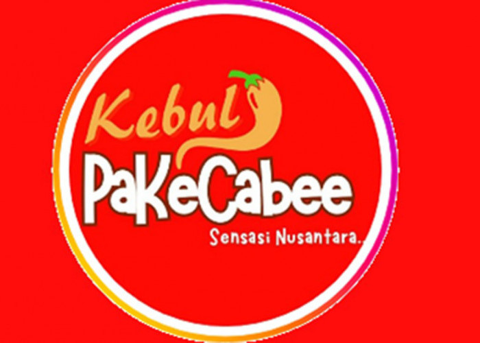 Info Lowongan Kerja di Kebuli Pake Cabee Palembang