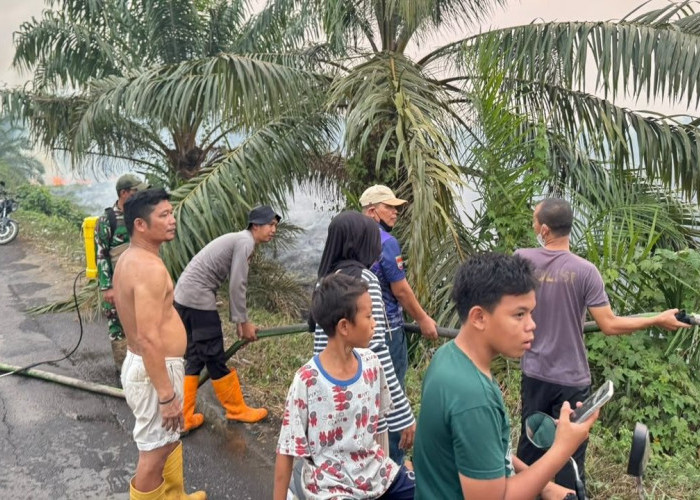 Bara Gambut Mengancam di Musi Rawas, 4 Hektare Lahan di Muara Lakitan Dilalap Api