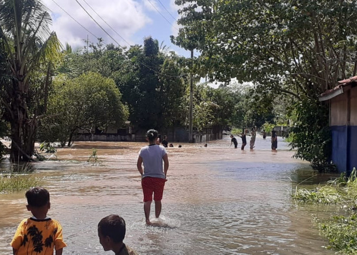 Banjir di Lubuklinggau, Akses Jalan2 Kelurahan Tergenang, Ratusan Rumah Terendam