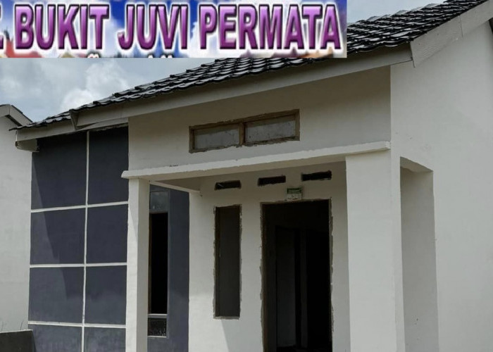 PT Bukit Juvi Permata Lubuk Linggau Buka Lowongan Kerja, yang Berminat Ini Posisi dan Syaratnya