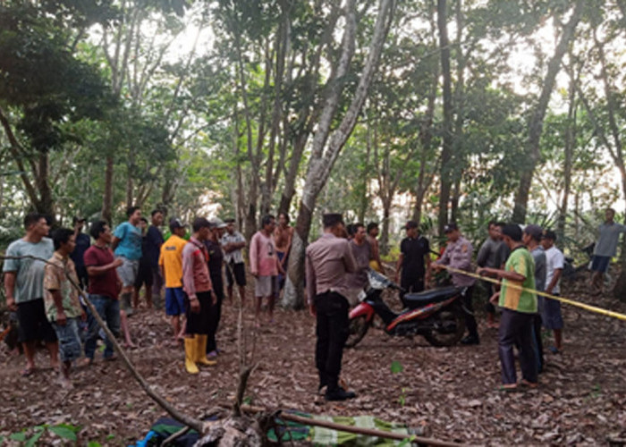 Petani di Musi Rawas Dibunuh di Kebun Karet, Ditemukan 8 Luka Tusuk