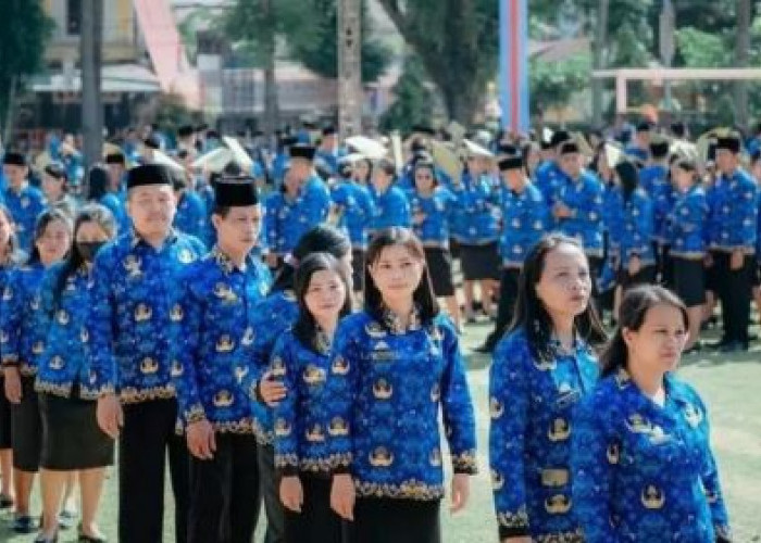 Daftar 14 Link Instansi Pusat yang Telah Mengumumkan Formasi CPNS 2024