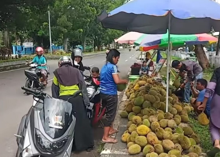 Durian di Lubuk Linggau Murah Banget, Mulai dari Rp5.000, Ini Lokasi Tempat Jualannya   
