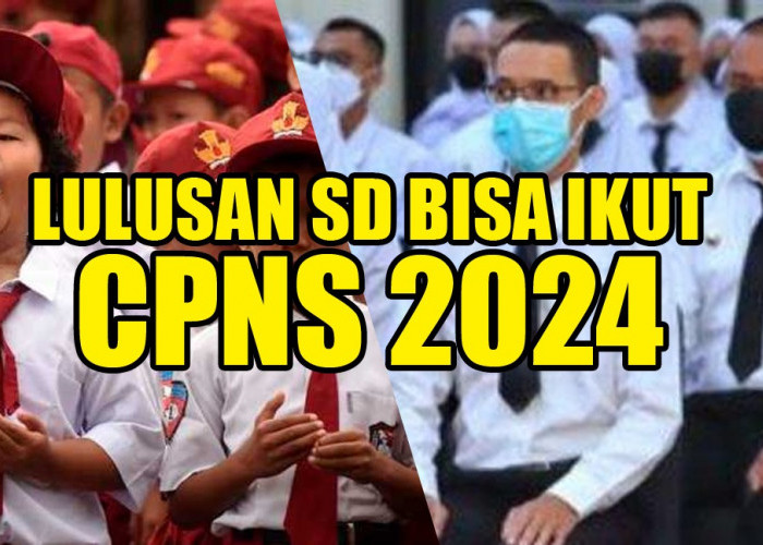 Lulusan SD Bisa Ikut CPNS 2024 di Kemenag, ini Jabatan yang Bisa Dilamar