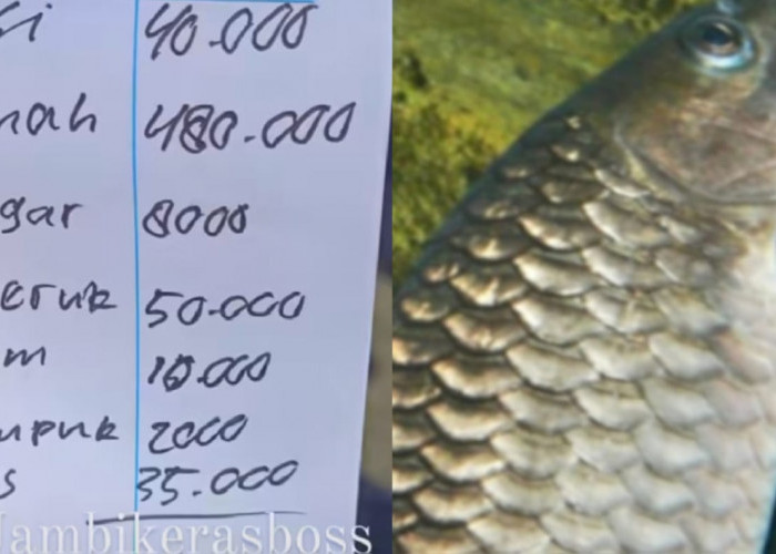 Jambi Keras Bos, Viral Harga 1 Porsi Pindang Ikan Semah Rp480.000 