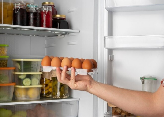 Inilah 7 Cara Mengatasi Bau Tak Sedap Dalam Freezer Agar Jangan Sampai Merusak Makanan