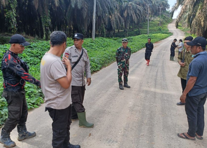 Polisi Kejar Pencuri Sawit yang Tabrak Manager PT Lonsum di Muratara