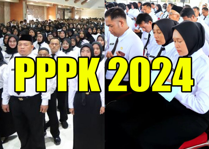 Pengumuman Hasil Seleksi Tes PPPK 2024 Tahap 1, Begini Cara Ceknya