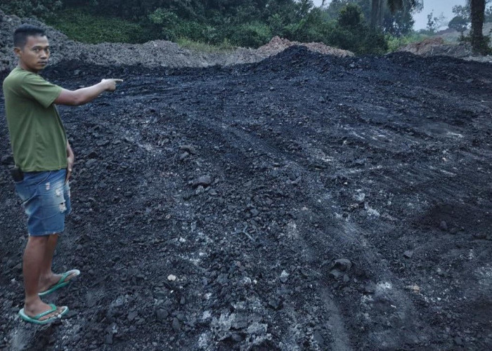 2 Sopir Truk Tersangka Batubara Ilegal, Polda Sumsel Selidiki Pemilik Stokpile 