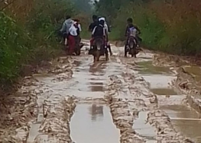 Jalan Desa Karya Teladan Musi Rawas Berlumpur, Kendaraan Sawit Diminta Bayar Retribusi atau Bantu Perbaikan