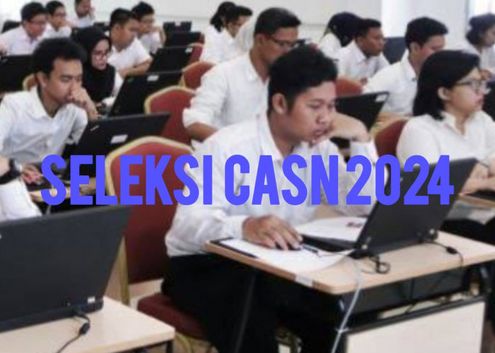 CASN 2024, Pemkab Mesuji Lampung Siapkan Ratusan Kuota CPNS Hingga PPPK, Berikut Rincian Formasinya