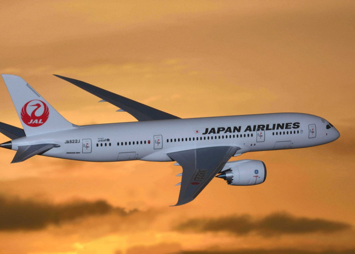 Makanan yang Membuat 140 Penumpang Pesawat Japan Airlines Keracunan Makanan
