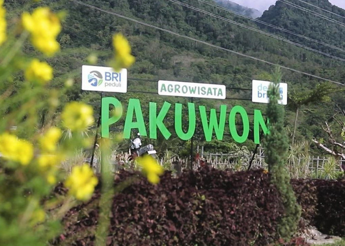 Lewat Program Desa BRILiaN, Desa Pajambon Kuningan Jadi Contoh Transformasi Ekonomi Berbasis Potensi Lokal