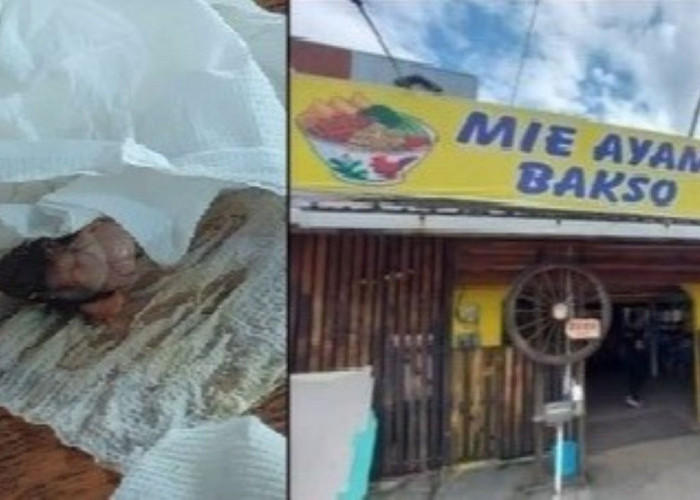 Heboh, Semangakok Mi Ayam Berisi Kepala Tikus, Begini Kata Pihak Penjual