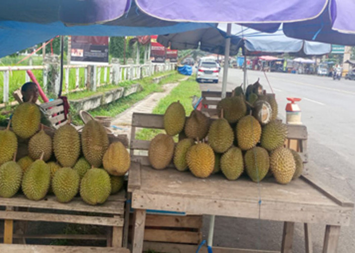 Ternyata Bukan Lubuk Linggau, Ini 5 Daerah Penghasil Duren Terbesar di Sumatera Selatan