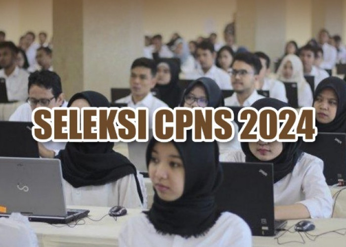 CPNS 2024, Letak Nomor Ijazah SMA/SMK, S1 Jangan Salah, Ini yang Benar