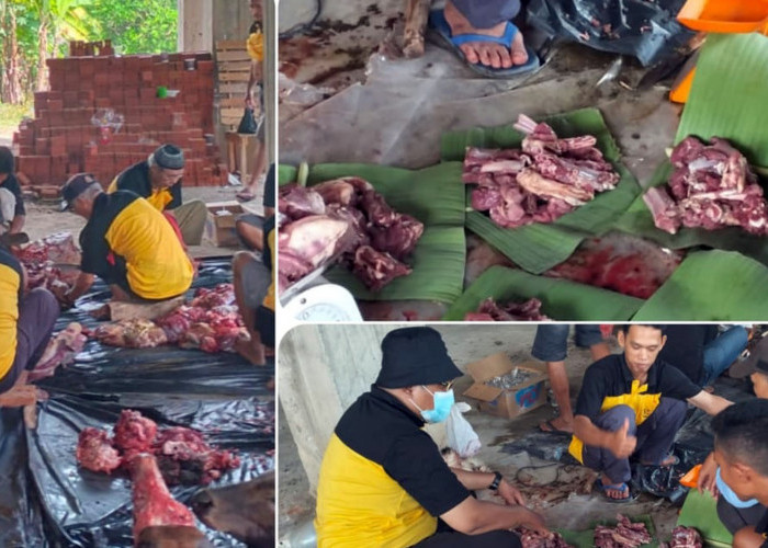 Pembagian Daging Kurban di Masjid Al Kautsar Lubuklinggau Tanpa Sampah Plastik, Kok Bisa!