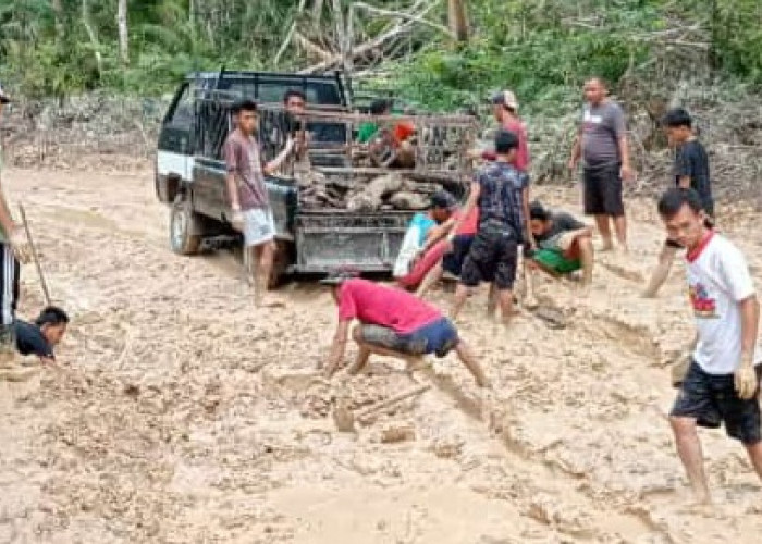 Kades Bersama Warga Desa Batu Kucing Muratara Kompak Gotong Royong Perbaiki Jalan Desa
