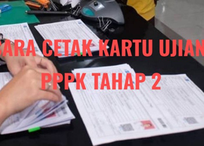 PPPK Tahap 2, Begini Cara Cetak Kartu Ujian Seleksi Kompetensi Lengkap dengan Jadwal Tesnya