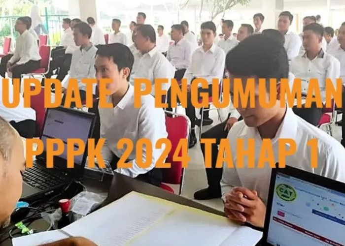 Pengumuman PPPK 2024 Tahap 1, Update Instansi yang Sudah Rilis Hasil, Cek Sekarang