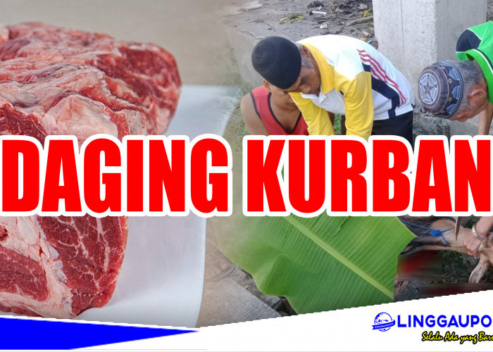 Kenapa Daging Kurban Tidak Boleh Dicuci? Simak Penjelasannya di Sini