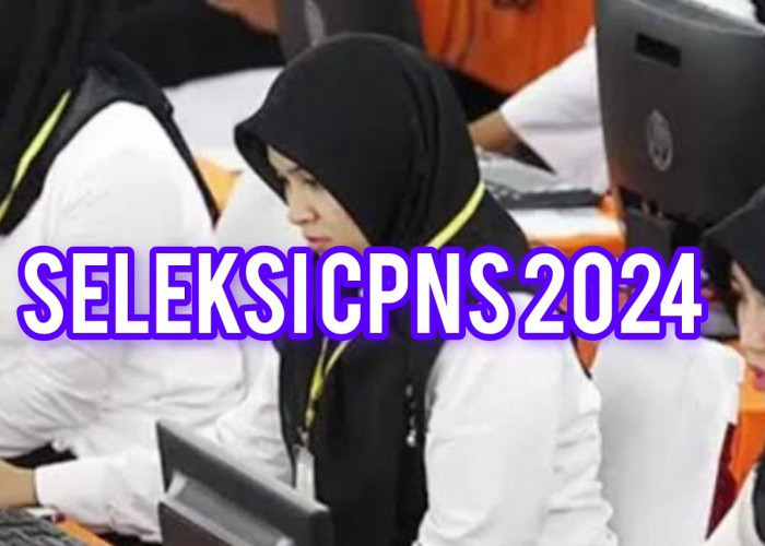 Seleksi CPNS 2024, Peserta Wajib Tahu Tahapan  Setelah Anda Lulus Tes SKD