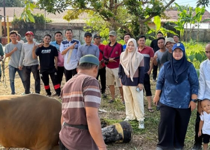 Peringati Idul Adha 2026, Kantor Pertanahan Musi Rawas Gelar Penyembelihan dan Pembagian Hewan Kurban